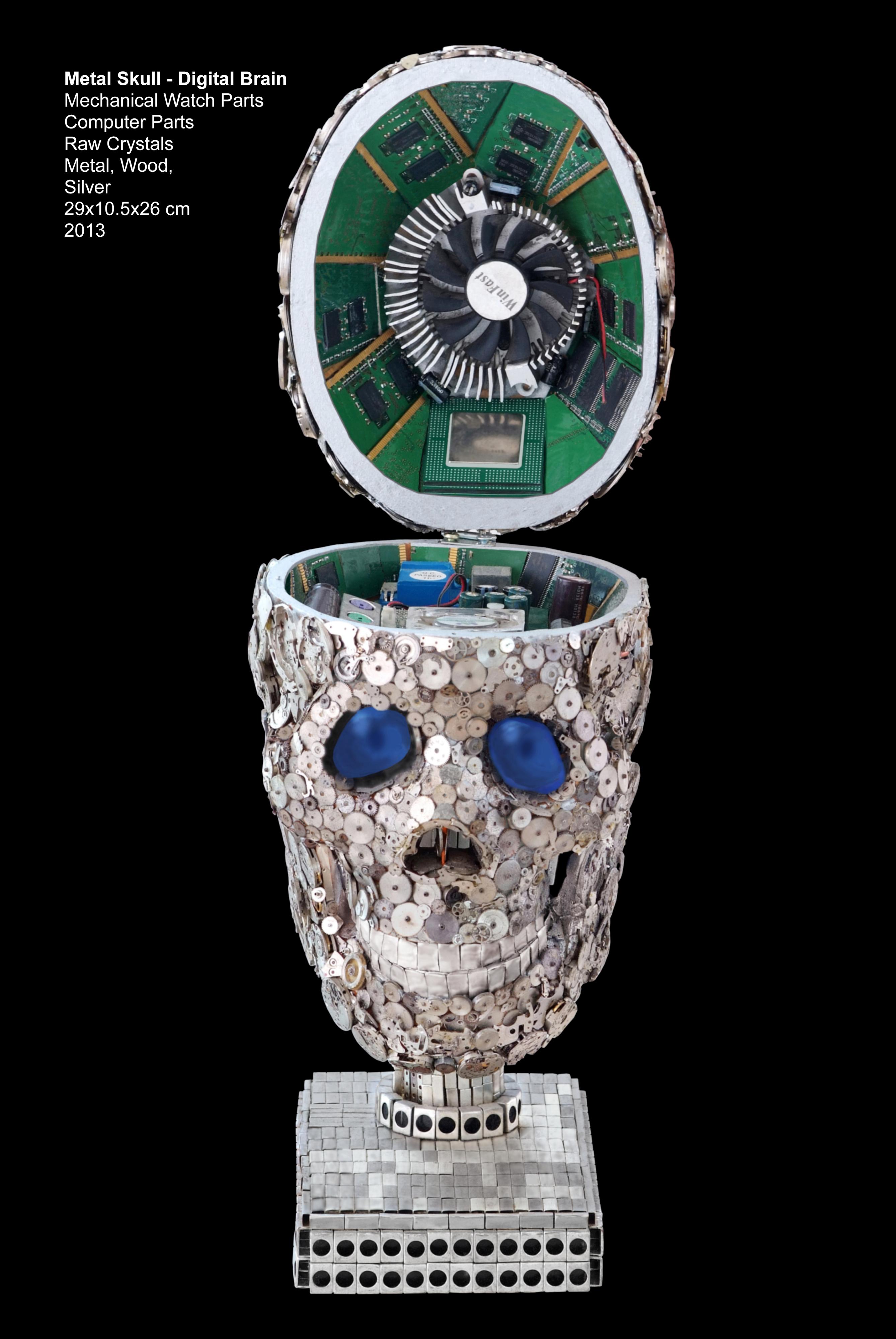 Skull - Digital Brain